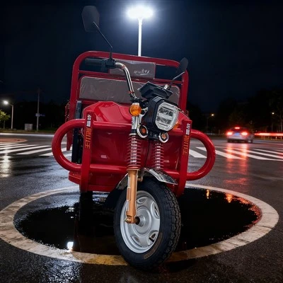 Komercijalni električni teretni tricikl